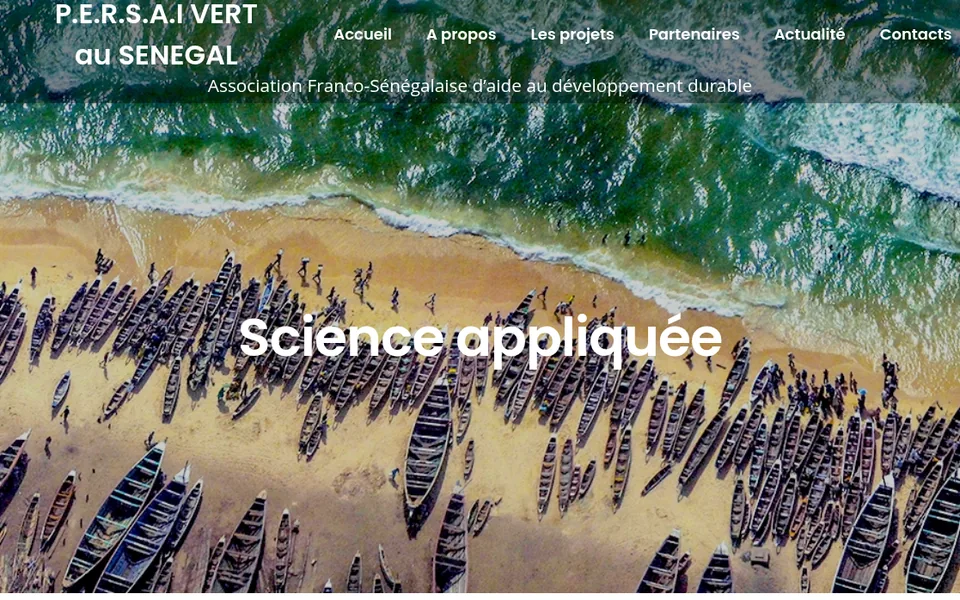 Page d'accueil du site Persaivert au Sénégal